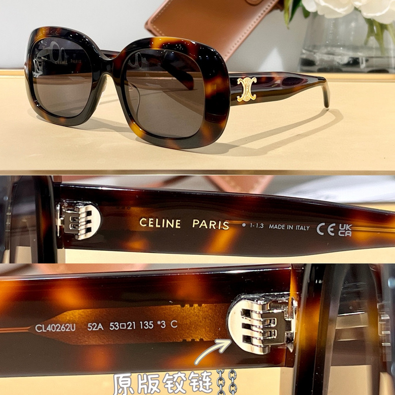 Celine Glasses smx (84)